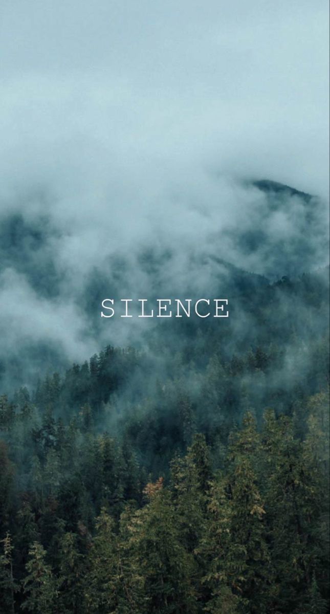 "Silence" in small white type over misty mountain pine forest.