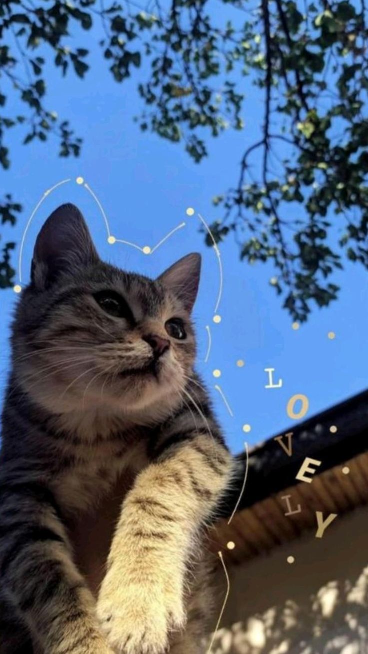 A tabby cat sitting in a tree against a blue sky, with "Love" written among the branches.