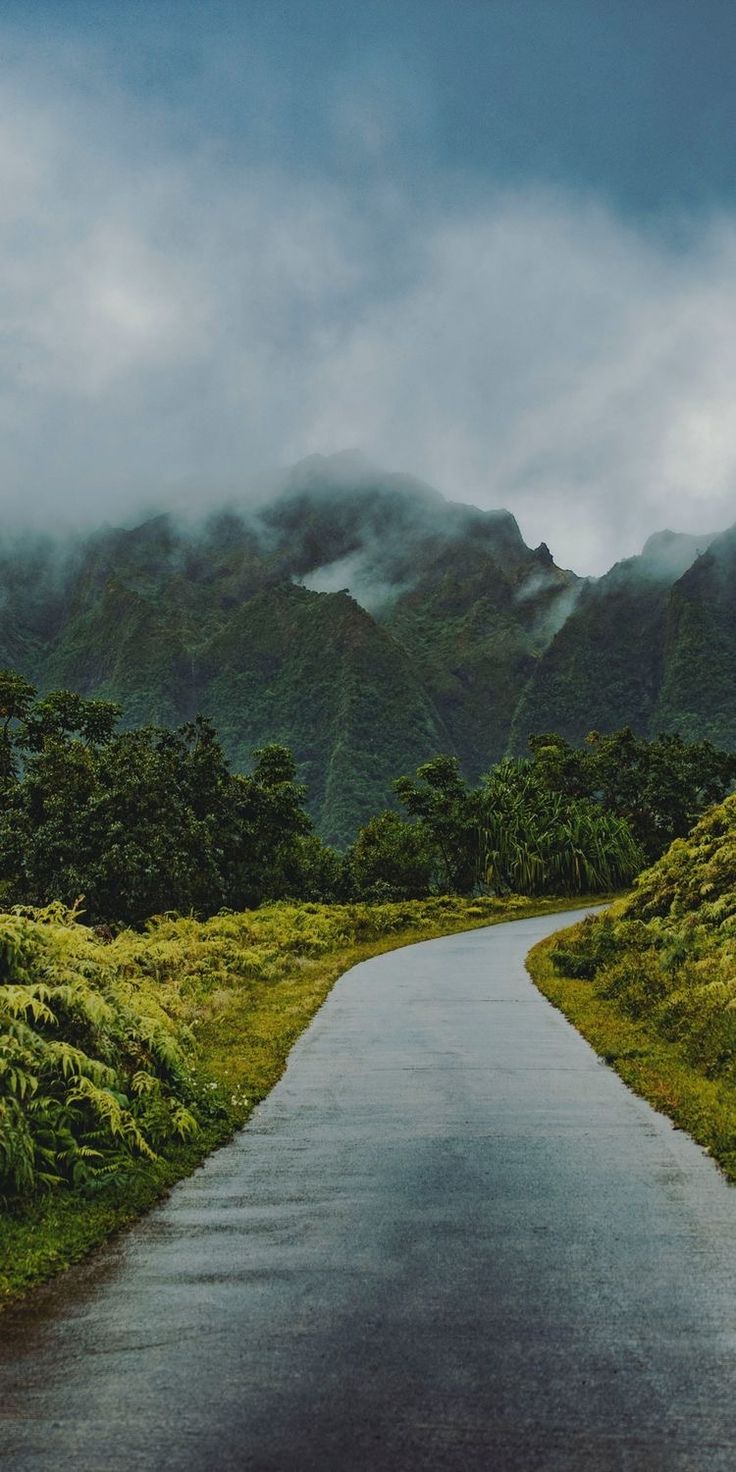 Road to the Misty Mountains