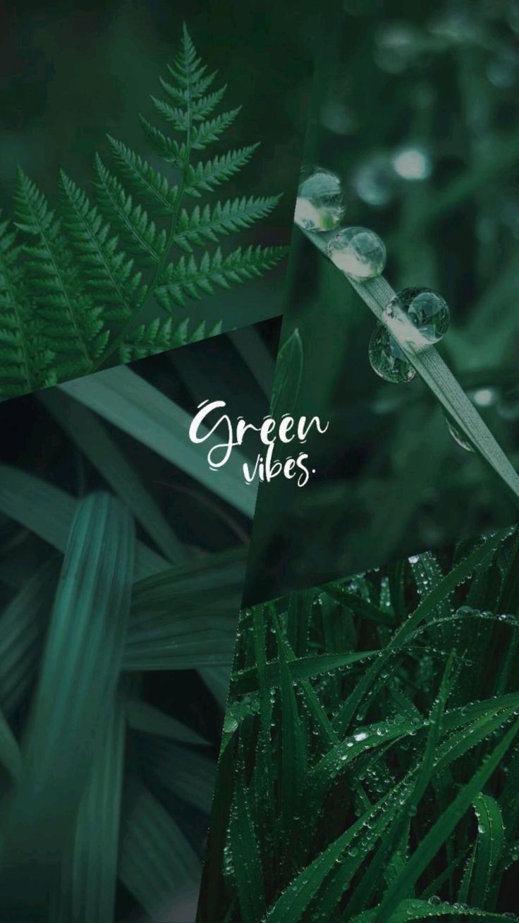 Green Vibes