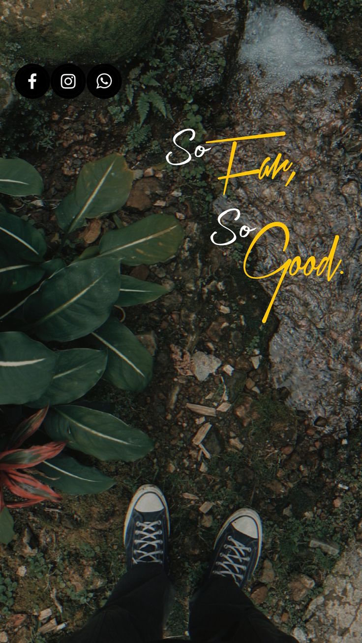 "So fun, so good" in white and yellow script above feet in black trainers on a leafy path.