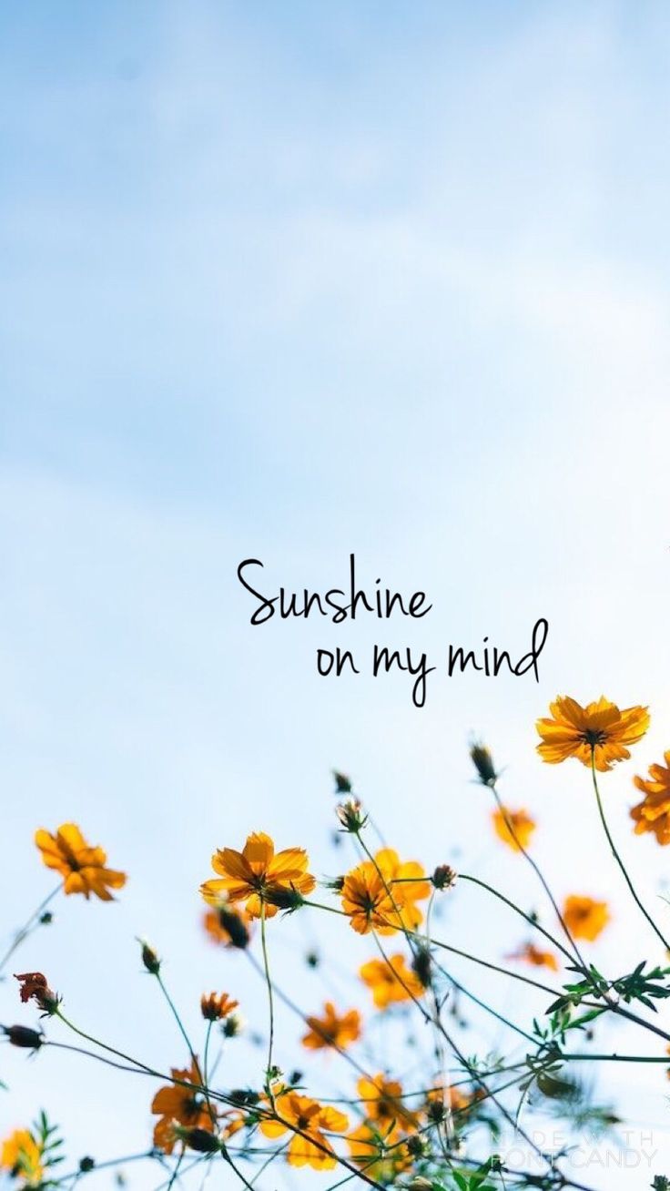 Sunshine on My Mind