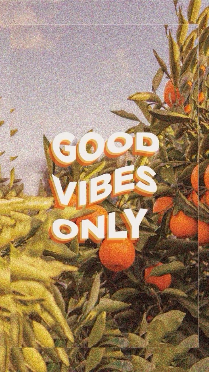 "Good vibes only" in white retro letters over green leaves and orange fruit.