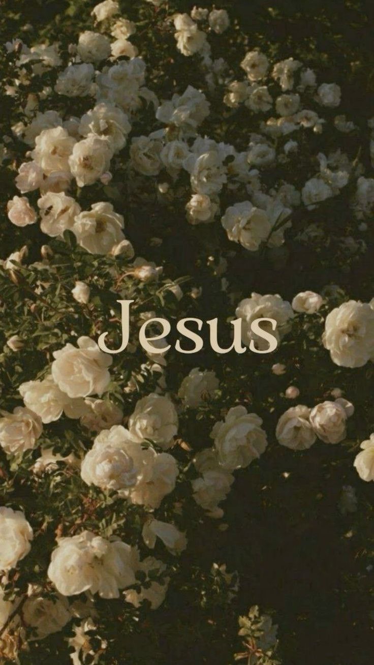 Jesus and Cream Roses