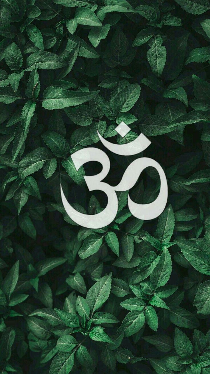 A white Om symbol over dense dark green leaves.