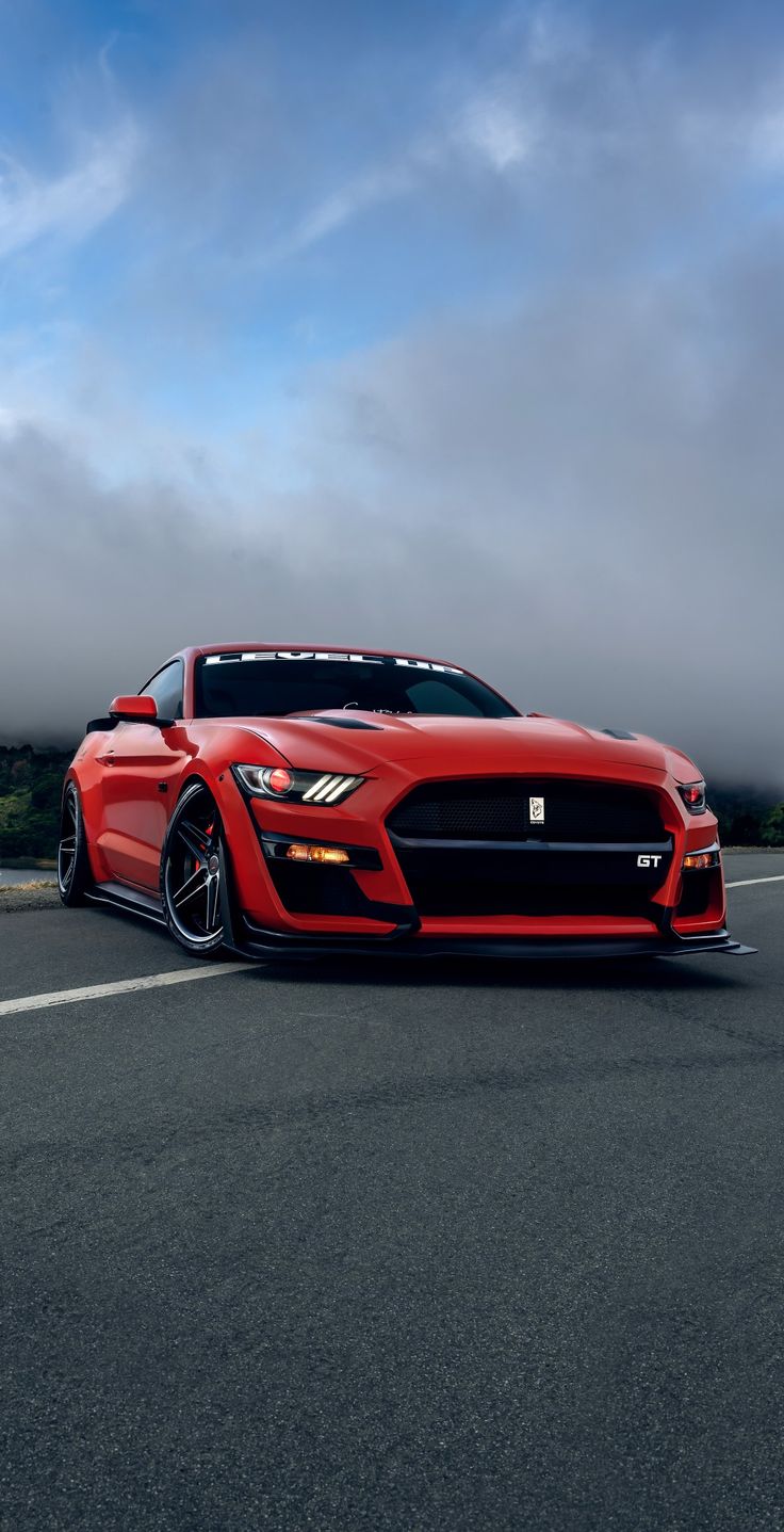 Mustang Shelby on the Road